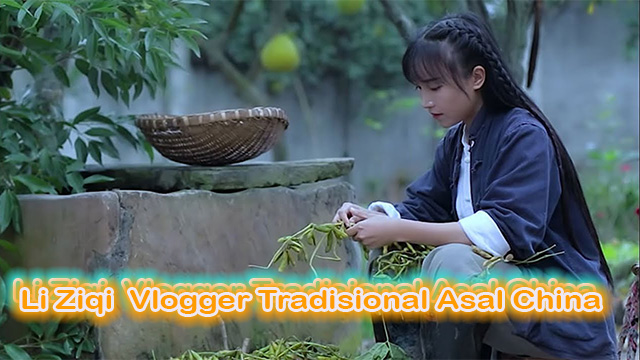 Li Ziqi Vlogger Tradisional Asal China